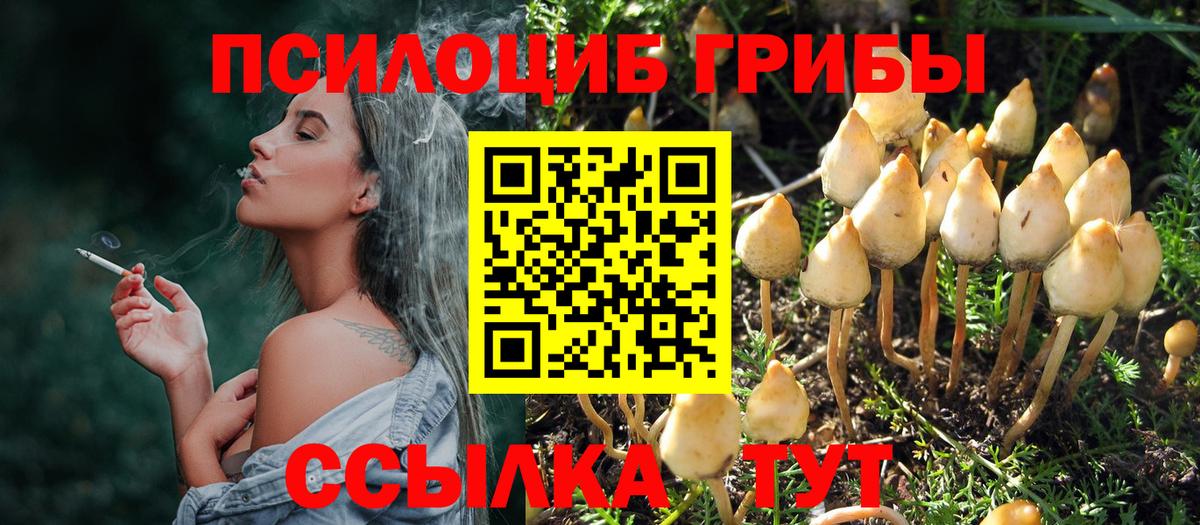 Галлюциногенные грибы Cubensis  Вход с VPN  Тольятти 
