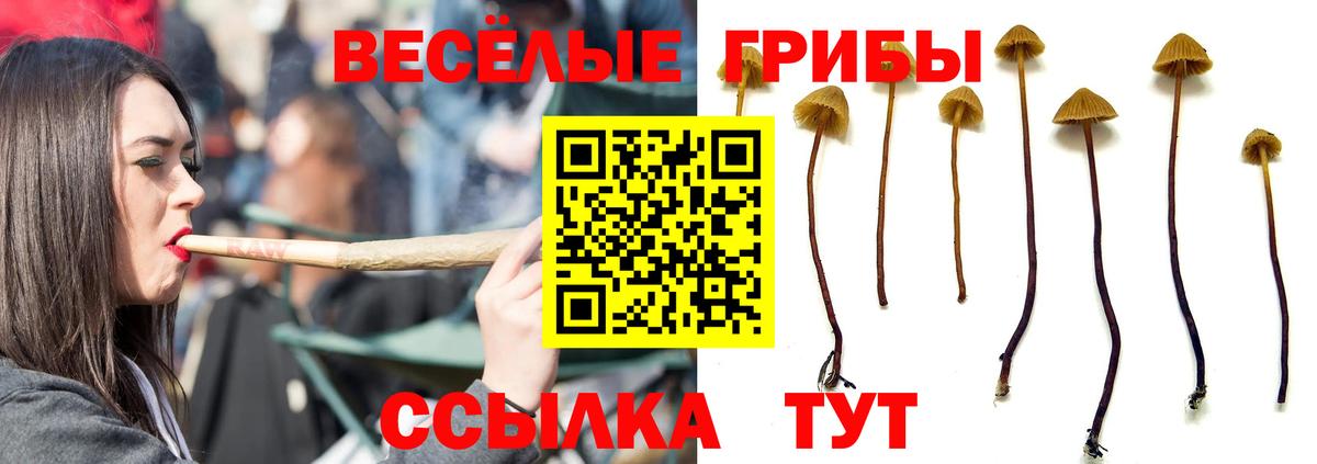 Псилоцибиновые грибы GOLDEN TEACHER Тольятти